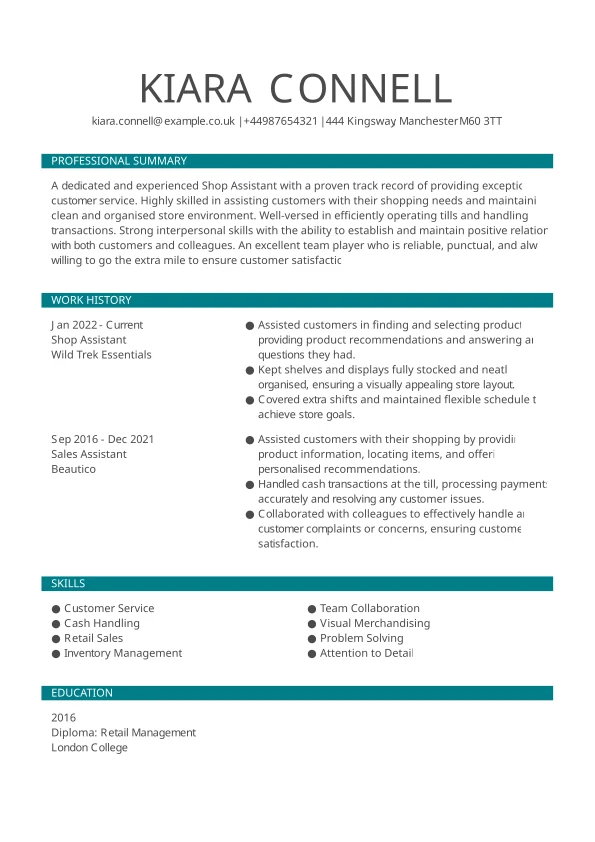 Customer service professional CV design example