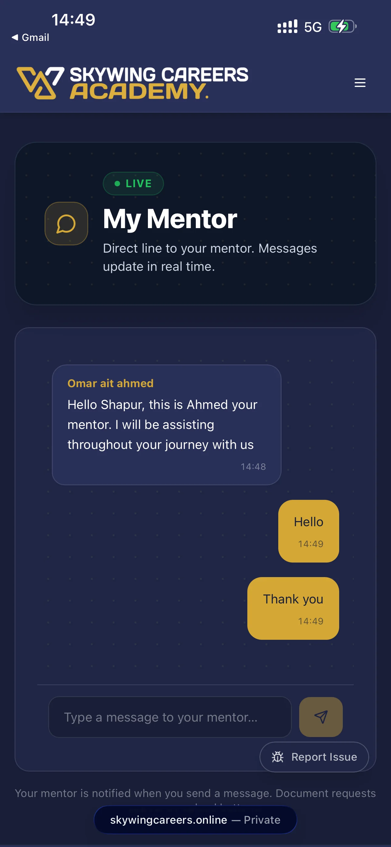 Skywing private mentor chat screenshot